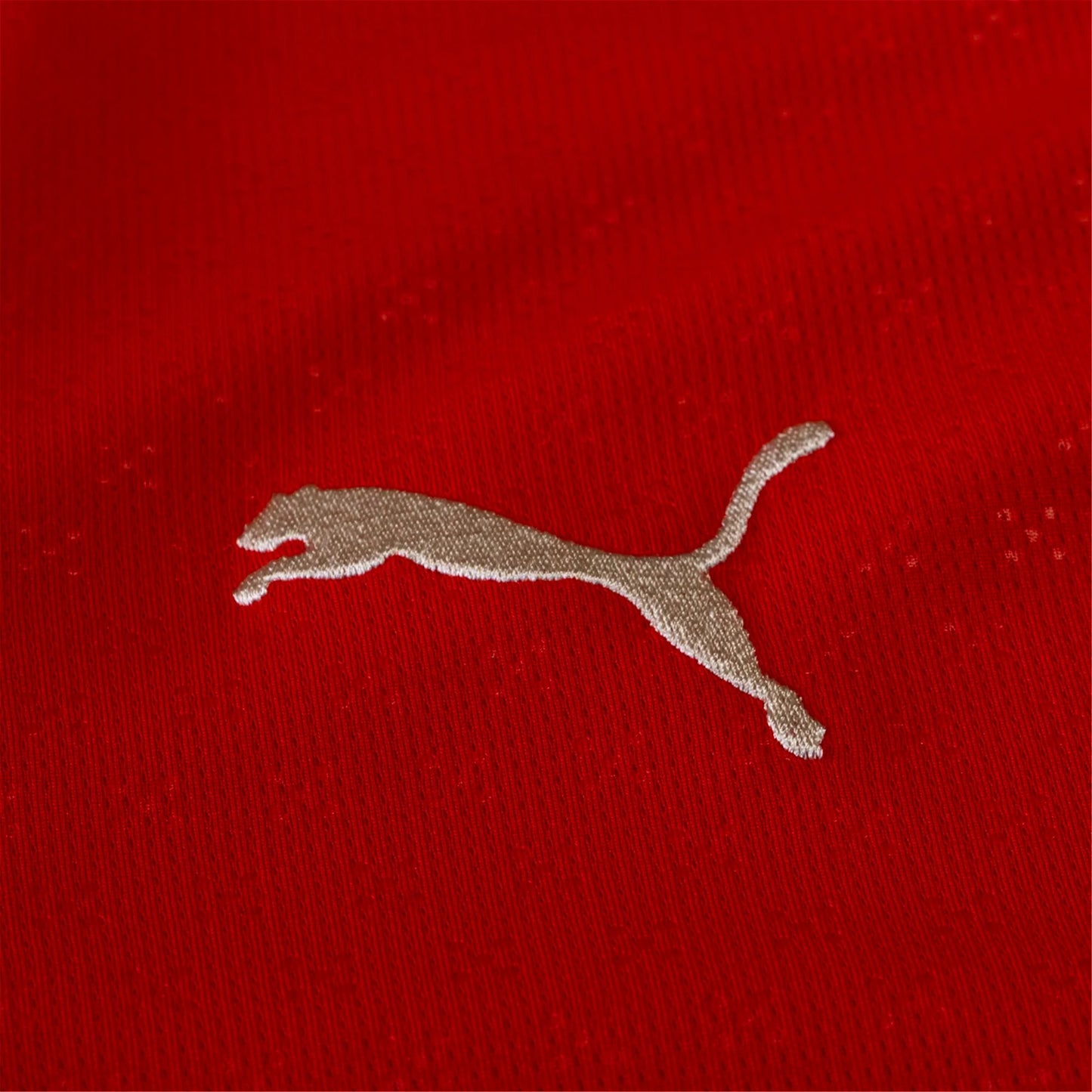 Puma Portugal Cristiano Ronaldo Home Long Sleeve Jersey 25/26 (Sport Red/Sugared Almond)