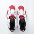 Air Jordan 6 Retro 'Carmine' (Premium Plus Batch)